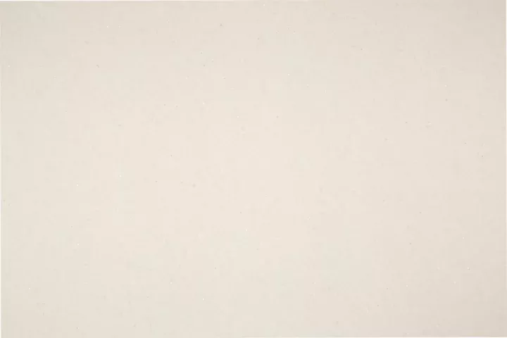 S 209 Light Sand купить недорого с доставкой